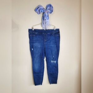Lane Bryant Pull On Jegging